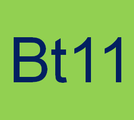 Bt11