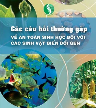 Cac san pham cua lmo la gi