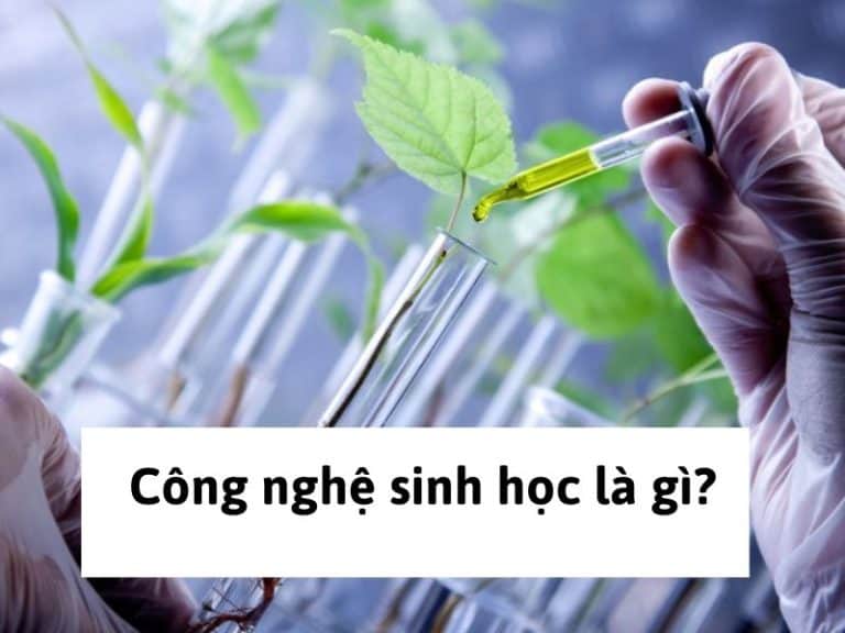 Công nghệ sinh học là gì?