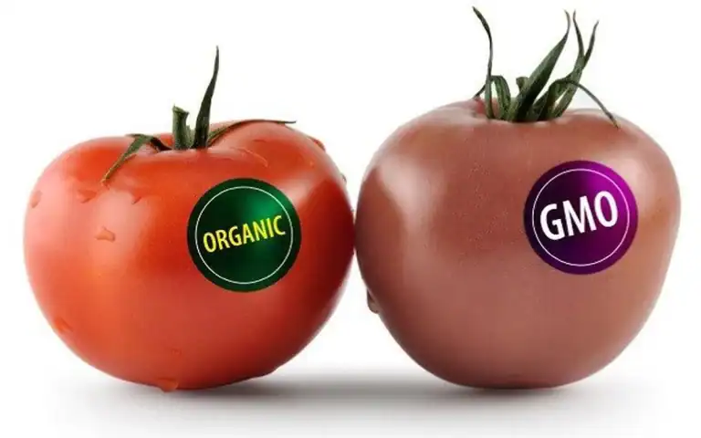 Dinh nghia sinh vat bien doi gen song lmo va sinh vat bien doi gen gmo